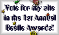 Vote for my site in the 1st Annual Beetle Awards!